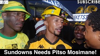 Stellenbosch 10 Mamelodi Sundowns  Sundowns Needs Pitso Mosimane [upl. by Rabbaj]