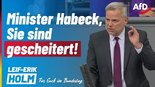 Minister Habeck Sie sind gescheitert  LeifErik Holm MdB [upl. by Immat]