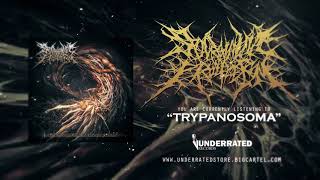 SPARGANUM PROLIFERUM  Trypanosoma NEW SONG 2020  Underrated Records [upl. by Di326]