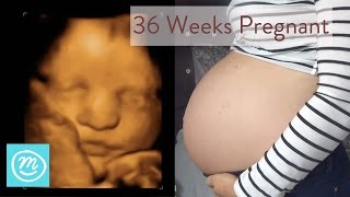 36 Weeks Pregnant What You Need To Know  Channel Mum [upl. by Berta]