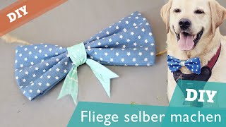 Fliege  Schleife ohne Nähen  Hunde DIY  selber machen  Hundekanal [upl. by Suellen989]