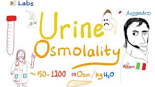 Urine Osmolality Osmolarity amp Urine Osmolar Gap  ADH  Labs 🧪  Clinical Pathology amp Pathophys [upl. by Adrahc9]