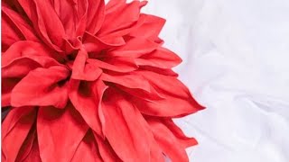 Giant foam flowers tutorial [upl. by Sancho451]