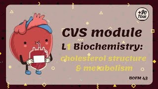 lec 2 Bio cholesterol metabolism cvs🫀✨️ [upl. by Gurtner632]