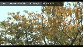 Canon R5 vs R5 mark II  Comparing recording modes  RAW SRAW h265 4K 8K 30p 60p 120p [upl. by Apthorp]