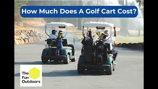 How Much Does A Golf Cart Cost [upl. by Nevek]