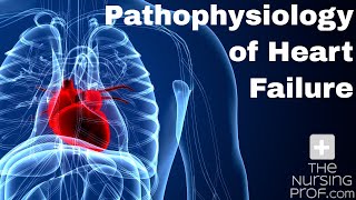 Pathophysiology of Heart Failure [upl. by Avert560]