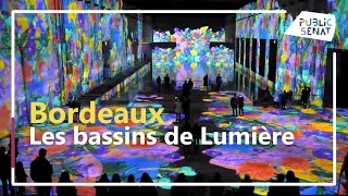 Le bassin de Lumière [upl. by Ardnued]