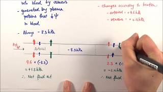 AS Biology  Tissue fluid formation OCR A Chapter 83 [upl. by Zel]