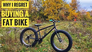 Why i Regret Buying a Fat Bike [upl. by Elletsyrk]