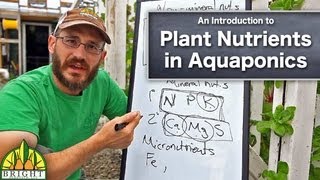 How to Manage Plant Nutrients in Aquaponics [upl. by Delorenzo805]