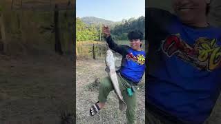 I Caught a 3Kg monster catfish catfish fish fishing fishingtrip fishinglife [upl. by Aihsyla]