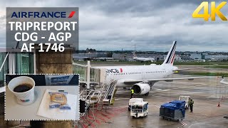 ✈ 4K TRIPREPORT  Air France  Airbus A319  Paris  Malaga  Economy class [upl. by Althea]