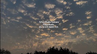 After Rain  Cinematic  NATURISTAN  4K  Satisfying Video [upl. by Eceinaj]