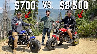 3 Way Mini Bike Comparison from Mild to WILD 10  25 Horsepower SHOWDOWN at 9000 Feet [upl. by Oirelav]