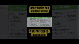 Difference between binary fission and multiple fission [upl. by Anua]