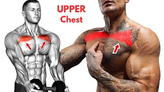 5 Best Upper Chest Workout  Get a Bigger Chest [upl. by Weingarten]