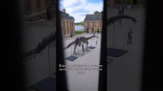 Exposition Fossile dinosaure chateau de Dampierre [upl. by Antonia]