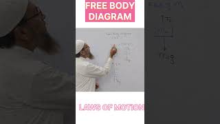 Free body diagram class 11 physics shorts short shortvideo ytshorts [upl. by Ahsinak]