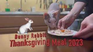 🐰 Bunny Rabbit Thanksgiving Meal 2023 [upl. by Carrie]