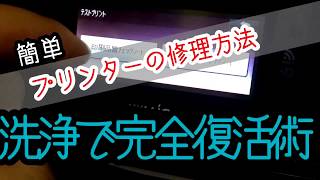 まずはドライヤーで温めろ【完全復活】簡単にバラさないで出来るプリンター洗浄術《前編12 》printer repair重要なのは抜き切る事・ふやかす事 [upl. by Meeker]