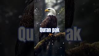 or kafir kahene lage quran ko suna hi na karo allahuakbar islamicprayer history rehemdili5317 [upl. by Cown]