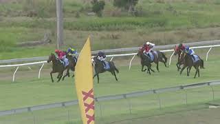 Yeppoon 20241102 Race 1 [upl. by Saile]