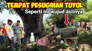 Viral Inilah Wujud Pohon Pesugihan Tuyul Terkenal Top Cer Di Jawa Timur [upl. by Llerrahs622]