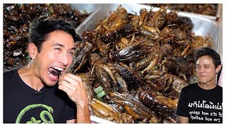 Eating The Best Reviewed BUGS In Bangkok EXOTIC Street Food With Mark Wiens [upl. by Airlia]