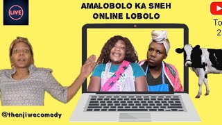 Virtual Lobolo Negotiations  AMALOBOLO Ka Sne  Bride Price  South African Comedy  Zulu [upl. by Yznel]