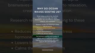 How Ocean Sounds Relax Your Brain and Body [upl. by Irina]