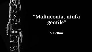 Malinconia ninfa gentile VBellini  Clarinet Solo  Musical Accompaniment [upl. by Zetnwahs]