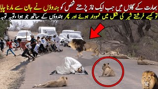 Namaz Ke Doran Sher Aya To Phr Kya Hua [upl. by Limaj551]