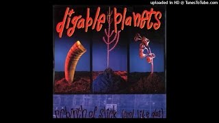 Digable Planets  Rebirth Of Slick Rebassed 27Hz [upl. by Kotto663]