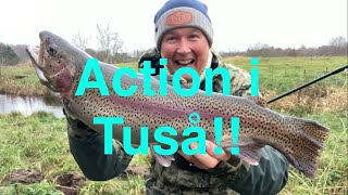 Action i Tuså [upl. by Whiffen]