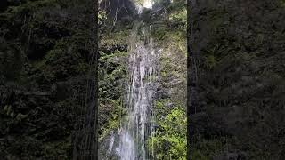 Newton’s Waterfall Akaroa NZ [upl. by Osborne772]