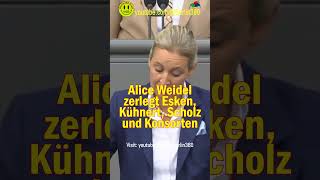 Weidel Esken Scholz Kühnert Habeck Faeser Baerbock lisapaus ricardalang Nouripour Özdemir [upl. by Lanuk592]