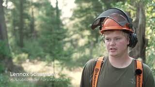 Vergölst fördert Pflege von 40000 Quadratmetern Wald in der Lüneburger Heide [upl. by Grochow]