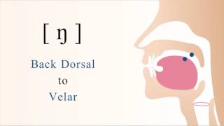 ŋ  voiced back dorsal velar nasal stop [upl. by Maidie]