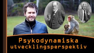 Psykodynamiska perspektiv på utveckling Från Freud till Anknytningsteorin [upl. by Gaidano]