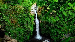 Waterfalls White Noise Relaxing Sound  River Sounds Mountain Stream Sound Therapy River [upl. by Arther469]