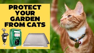 Best Cat Repellent for Garden That Actually Works [upl. by Laban807]