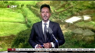 DW International ትግርኛ ዜና ሰዓት 1230 ፣ 04 መስከረም 2016 ዓም \ Watch Live Streaming [upl. by Leahcym]