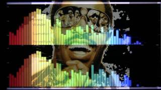 Stevie Wonder Superstition  The real Funk Remix by Ultra S [upl. by Ynohtnaed283]