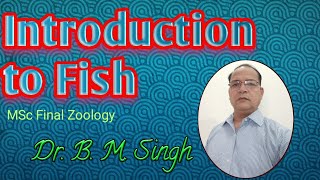 Introduction to Fish [upl. by Tamra]