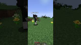 Ella solita puede humor humorviral minecraft minecraftshorts perros Ella minecraftmemes [upl. by Lief901]