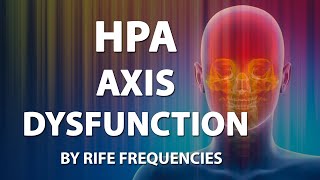 HPA Axis Dysfunction  RIFE Healing Frequencies Treatment  Frequency Energy amp Quantum Bioresonance [upl. by Akin559]