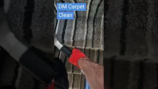 Freshen up your carpets in no time 🧼✨ CarpetCleaningHacks [upl. by Rolandson]