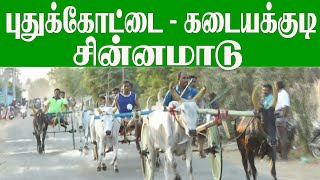 சின்னமாடு புதுக்கோட்டை கடையக்குடி 24032019 puthukkottai kataiyakudi chinna maadu vandi panthaya [upl. by Colner]