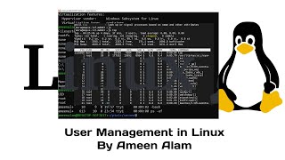 User management in Linux for beginners in Urdu and Hindi [upl. by Sexton]